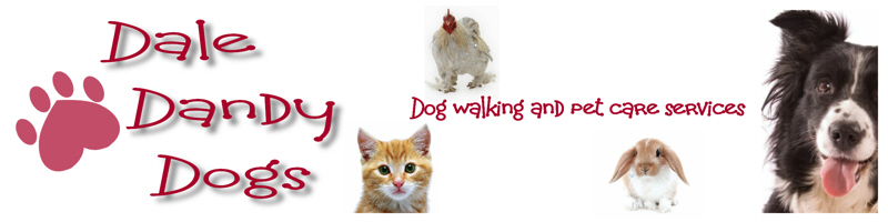 web banner for Dale Dandy Dogs, dog walking and pet care in West Lothian